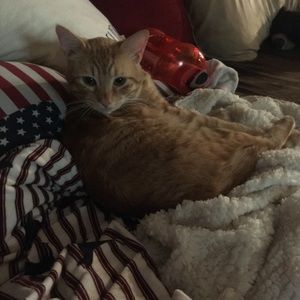 Meet your Posher, Tristan